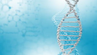 So-called 'Junk DNA' could be keeping you alive